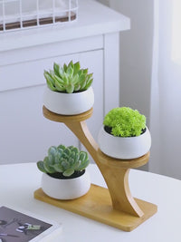 Owl Ceramic Planter Set – White Succulent Pots with Bamboo Tree Stand