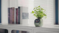 IvyBot AI Smart Planter β Cute Interactive Flower Pot with Digital Face