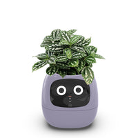 IvyBot AI Smart Planter – Cute Interactive Flower Pot with Digital Face