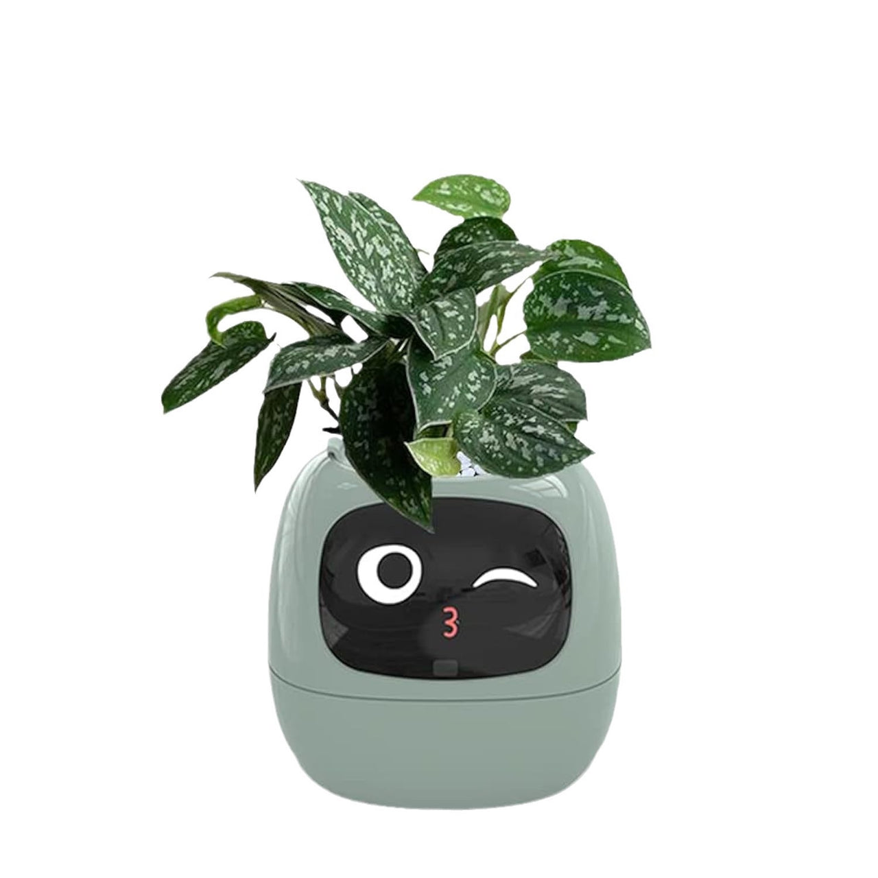IvyBot AI Smart Planter – Cute Interactive Flower Pot with Digital Face