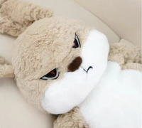 Grumpy DiuDiu Bunny Plush Pillow Toy